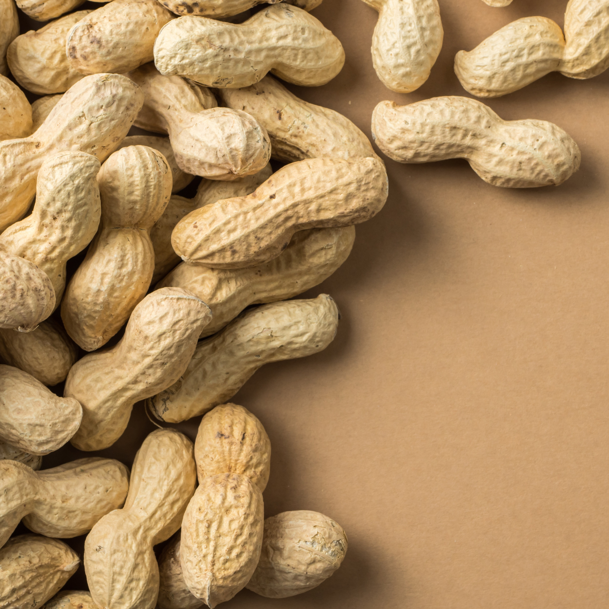 Peanuts